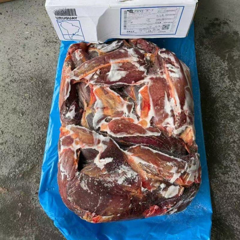马前腱