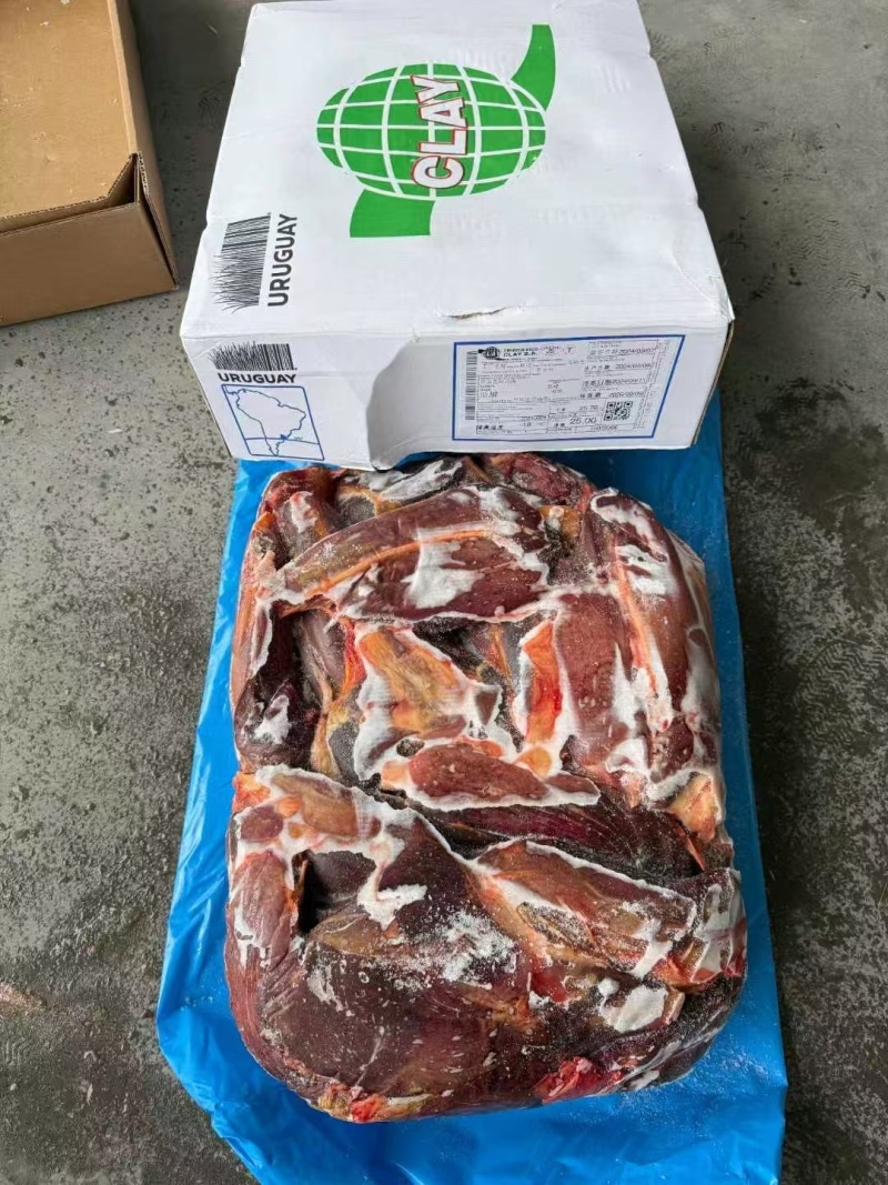 马前腱