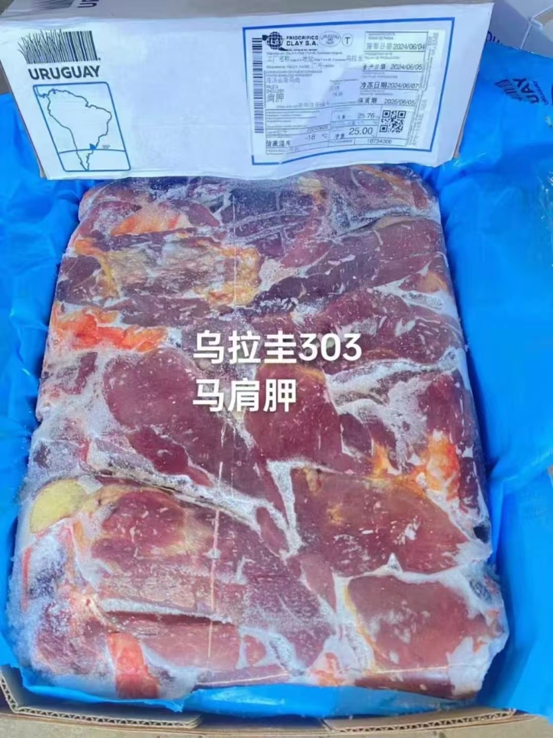 乌拉圭303马肩胛