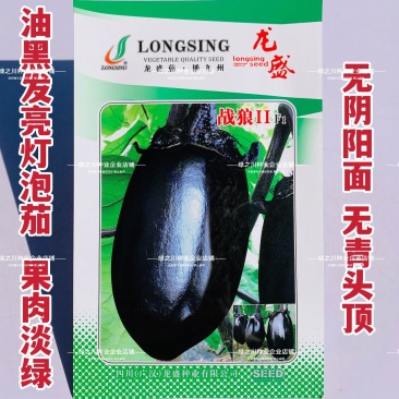 特大灯泡茄种子四川龙盛绿肉牛心茄子种籽春秋季油黑发亮茄子