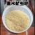 黑水虻孵化虫卵
