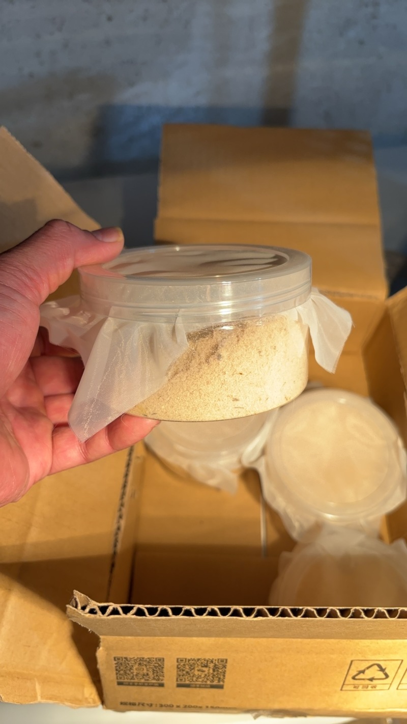 黑水虻孵化虫卵