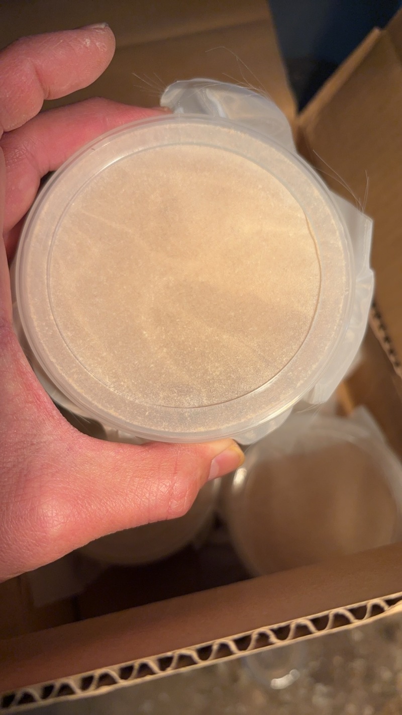 黑水虻孵化虫卵