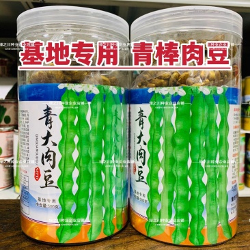 基地专用青棒肉豆种子九粒青架豆种子春秋两用豆味十足纤维少
