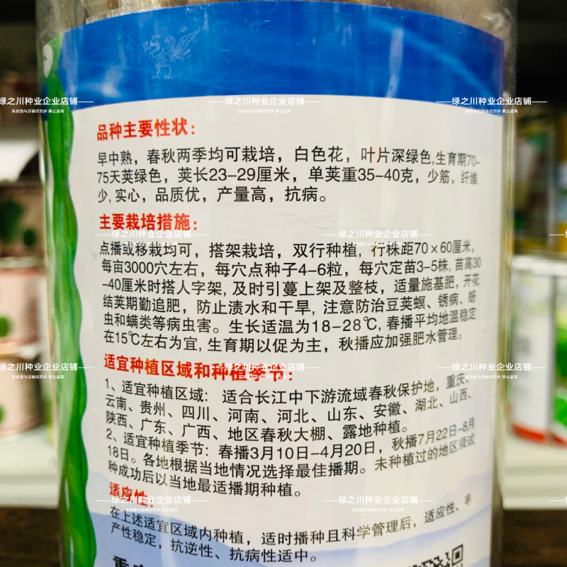 基地专用青棒肉豆种子九粒青架豆种子春秋两用豆味十足纤维少