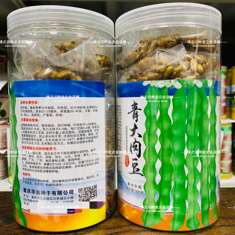 基地专用青棒肉豆种子九粒青架豆种子春秋两用豆味十足纤维少
