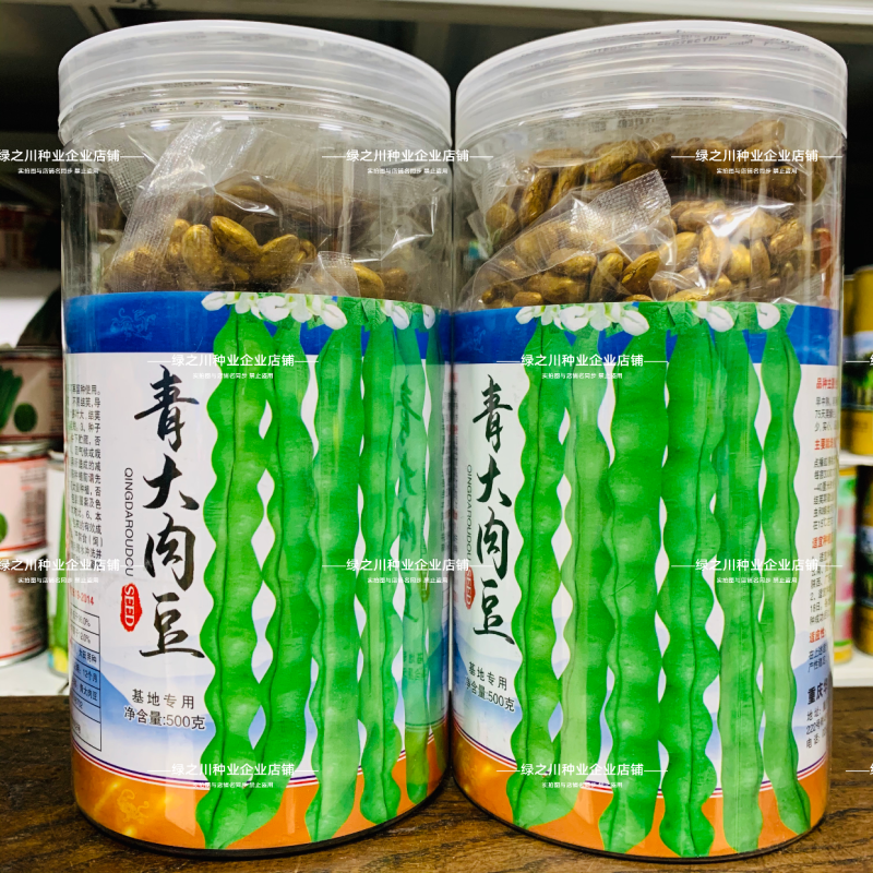 基地专用青棒肉豆种子九粒青架豆种子春秋两用豆味十足纤维少