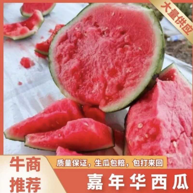 【嘉年华西瓜】嘉年华西瓜薄皮汁多商超基地发可视频看货