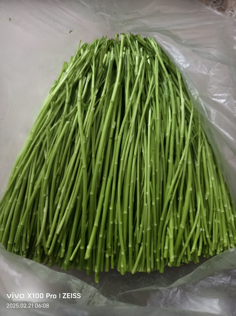 青白芦蒿，自产自销，基地直发，没有中间商赚差价