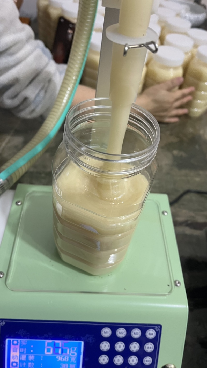 鸭脚木冬蜜精品瓶装支持批发一手货源欢迎电联采购