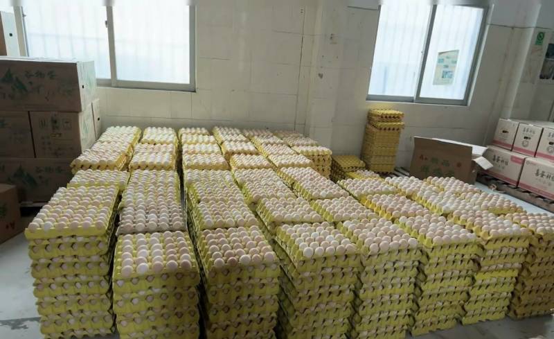 出售农家土鸡蛋，价格实惠，120一件，质量有保障，包售后