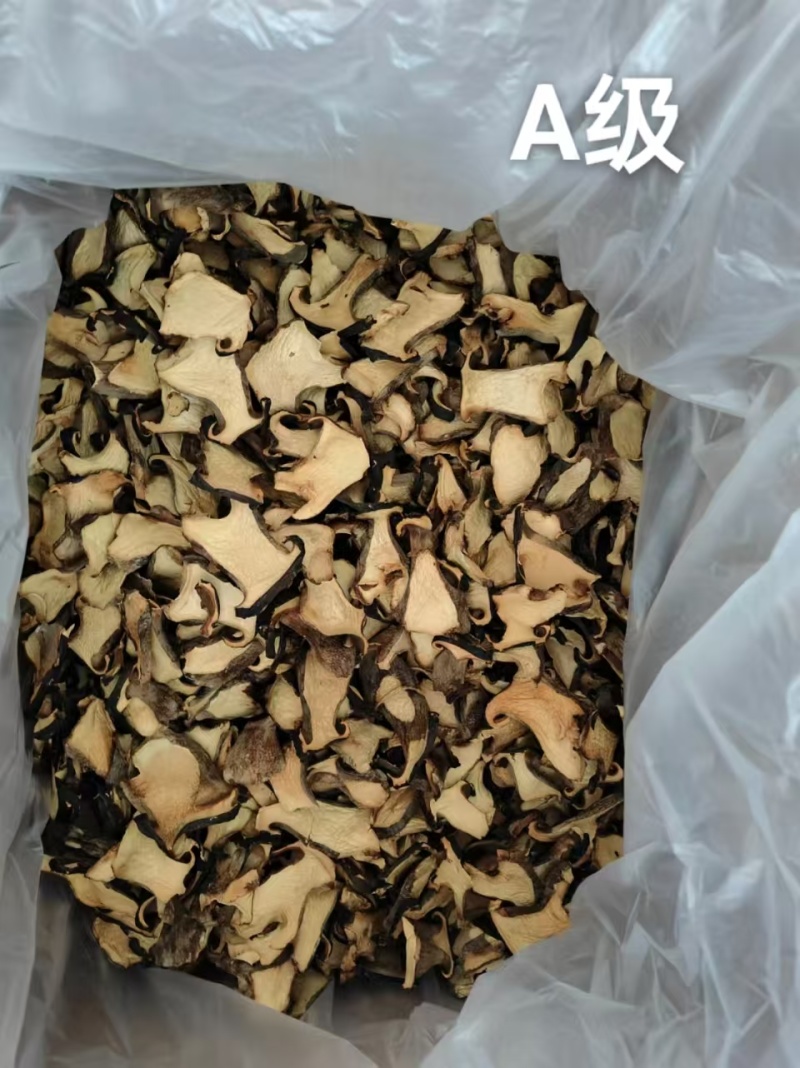 牛肝菌