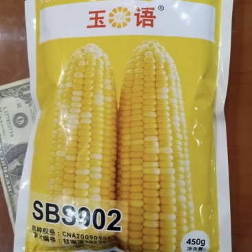 水果玉米种子白加黄