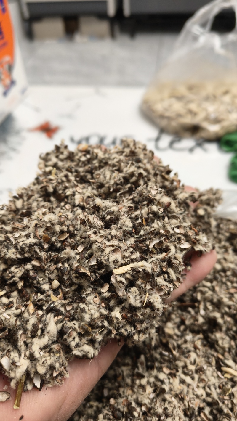 棉籽壳厂家直销，新疆阿克苏天康棉籽壳，河北棉籽壳，山东棉