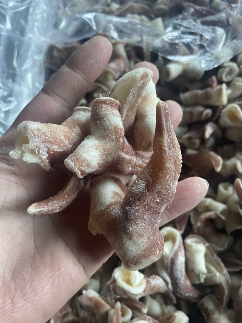 翻花紫鸟贝