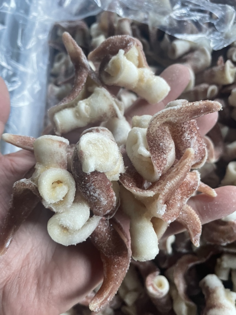 翻花紫鸟贝