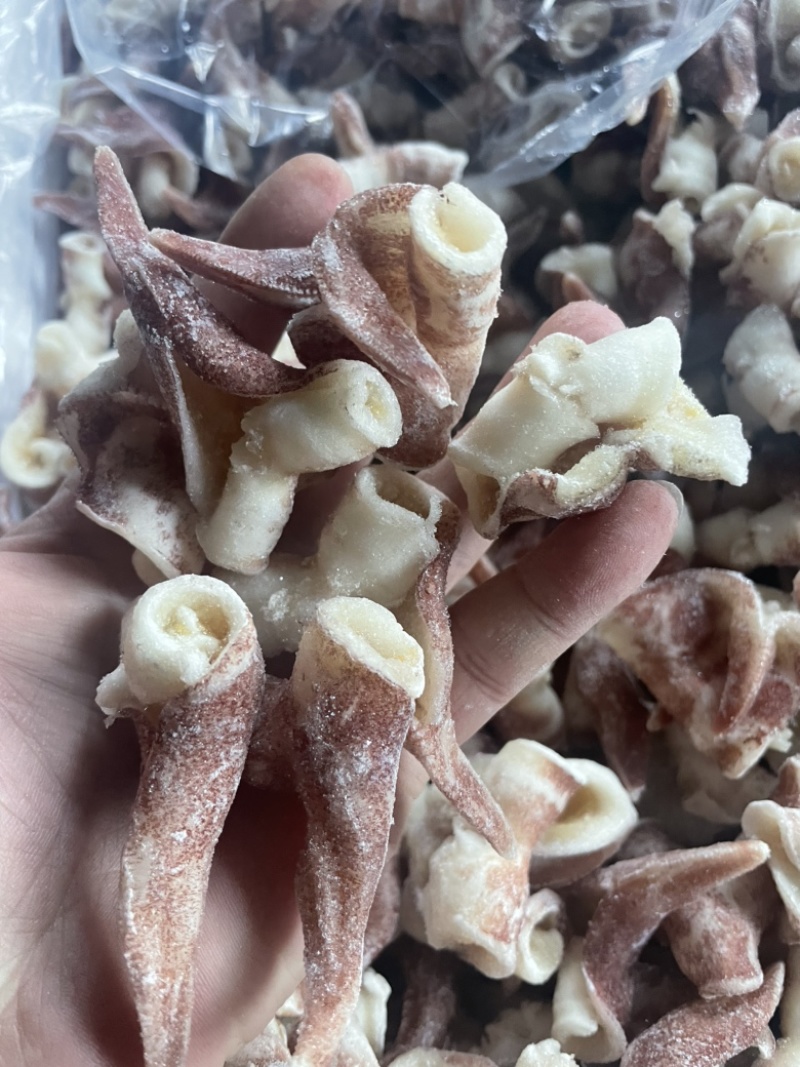 翻花紫鸟贝