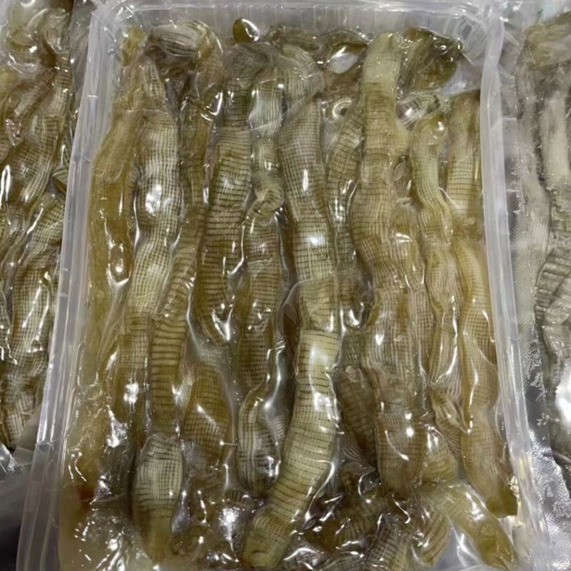 沙虫、沙虫煲汤、