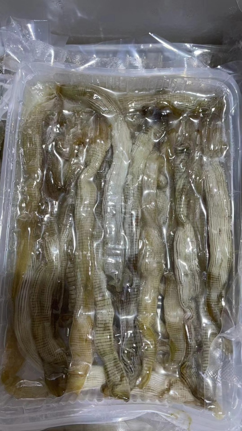 沙虫、沙虫煲汤、