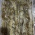 沙虫、沙虫煲汤、