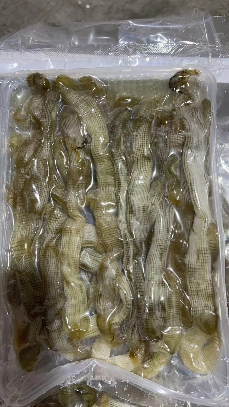 沙虫、沙虫煲汤、