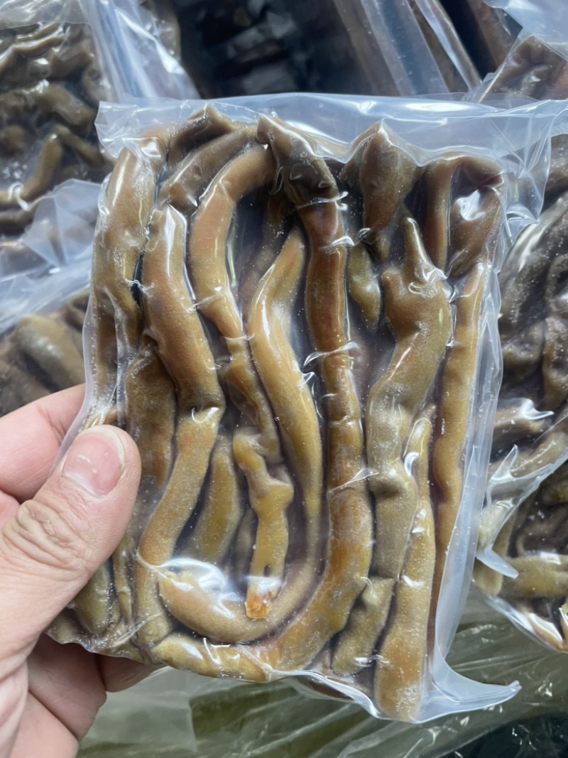 氧化海肠解冻后效果