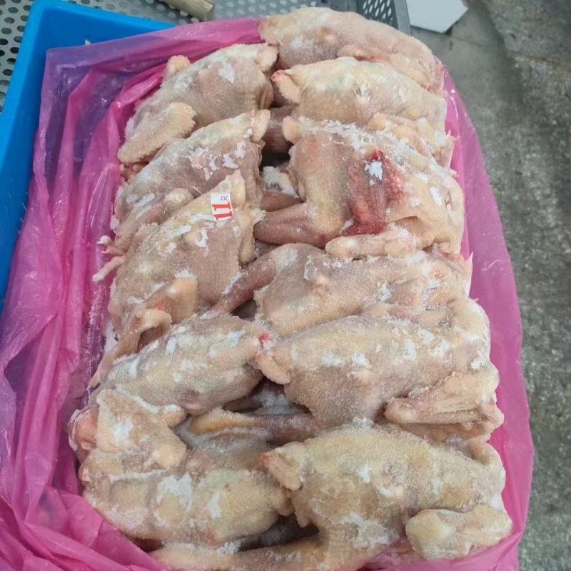 二级579公鸡，规格齐全，厂家直接发货，价格**