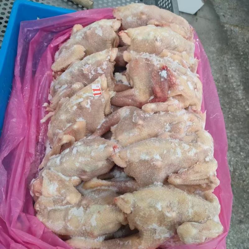 二级579公鸡，规格齐全，厂家直接发货，价格**