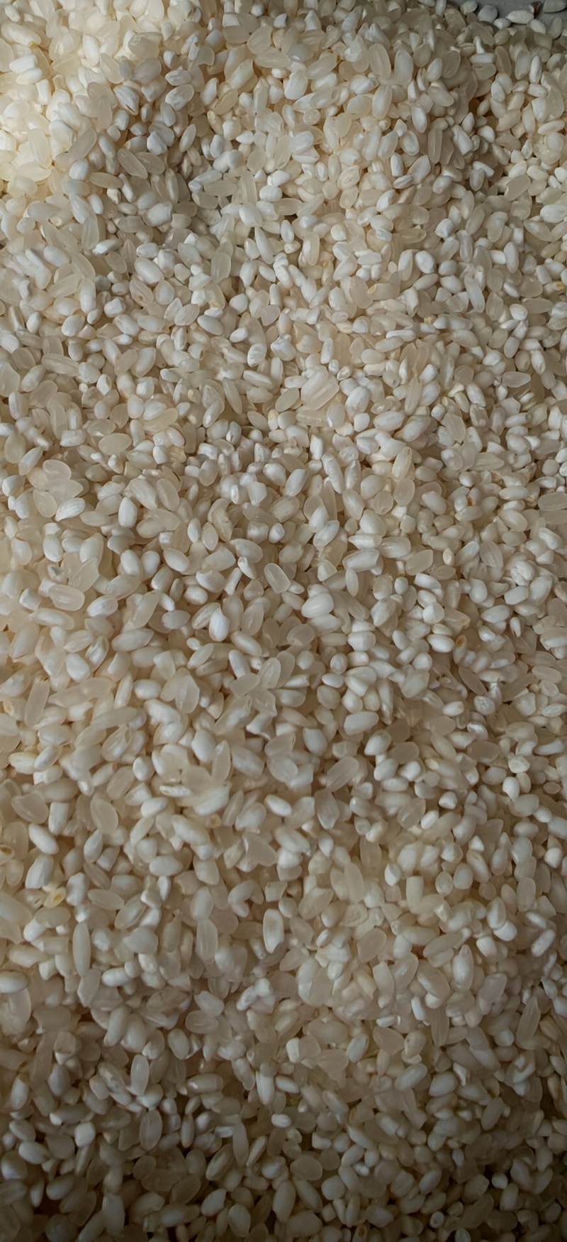 粳米大量供应厂家直销品质保证期待与您合
