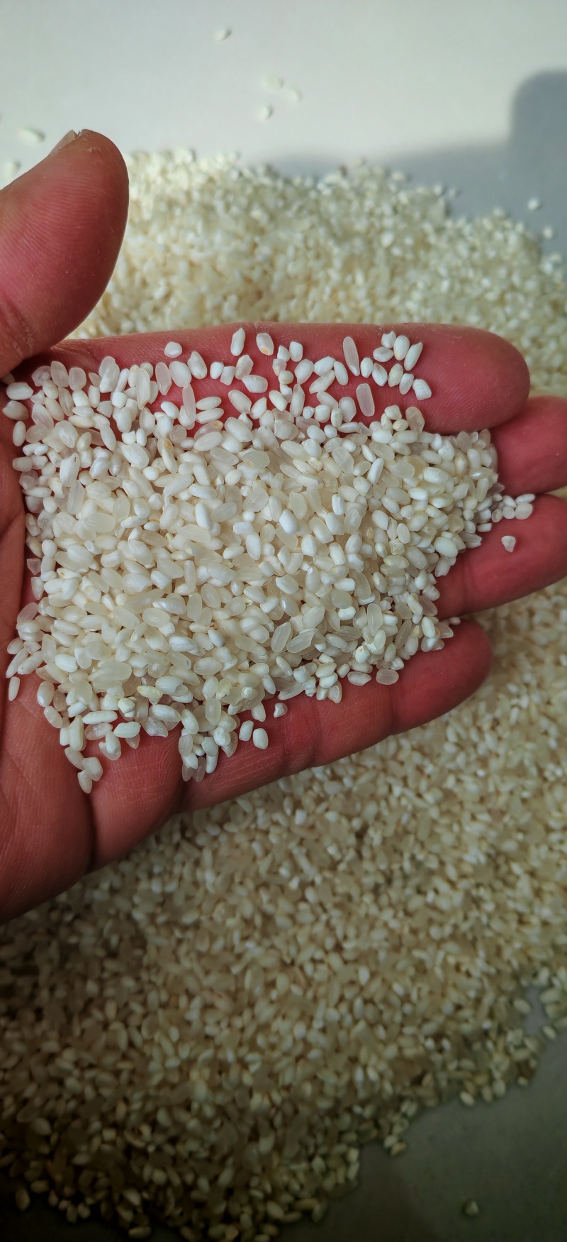 粳米大量供应厂家直销品质保证期待与您合