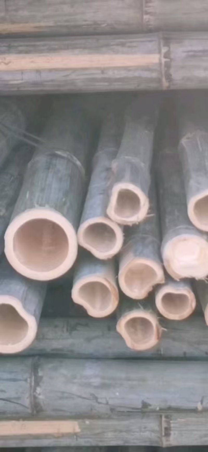 湖南产地直发竹尾，楠竹，百香果架，香蕉竹，量大价优，