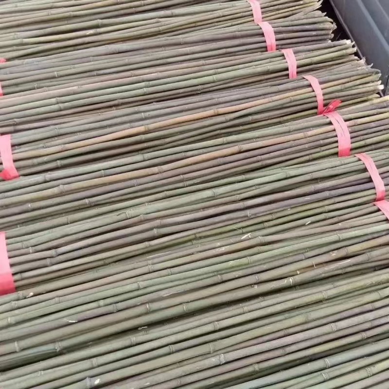 竹子，竹竿，辣椒杆，豆角架，西红柿架，冬瓜架，产地批发