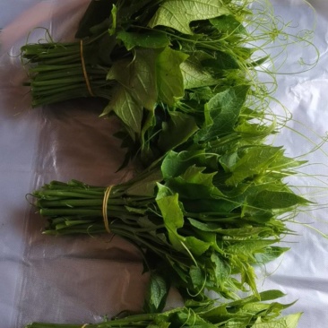 徐州市贾汪区刘章伟