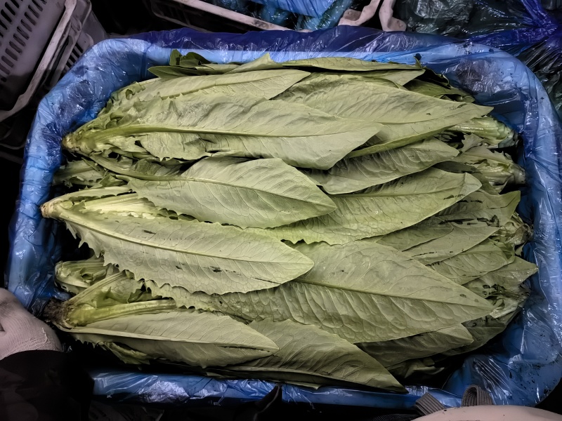 油麦菜