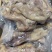 火烧毛去骨熟牛蹄