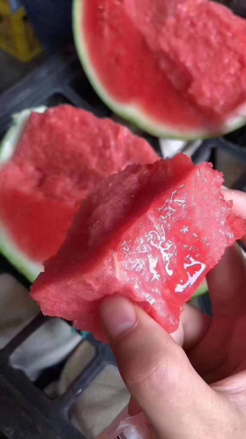 无籽麒麟西瓜，美都西瓜大量上市，欢迎大家来电优惠