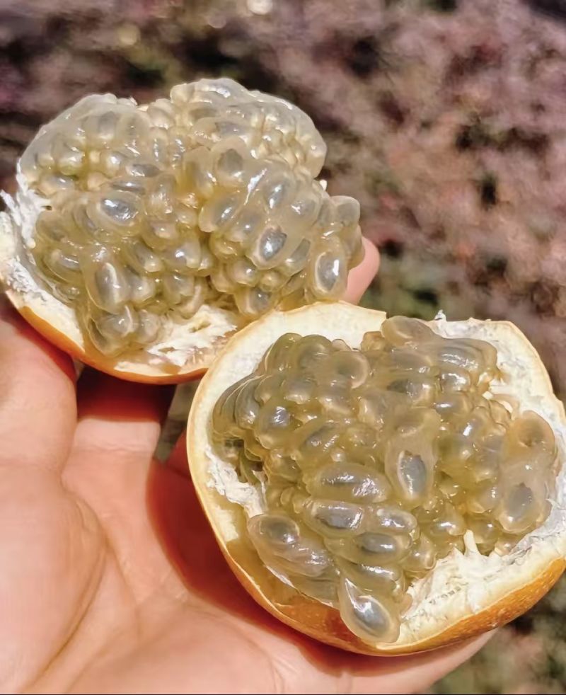热情果