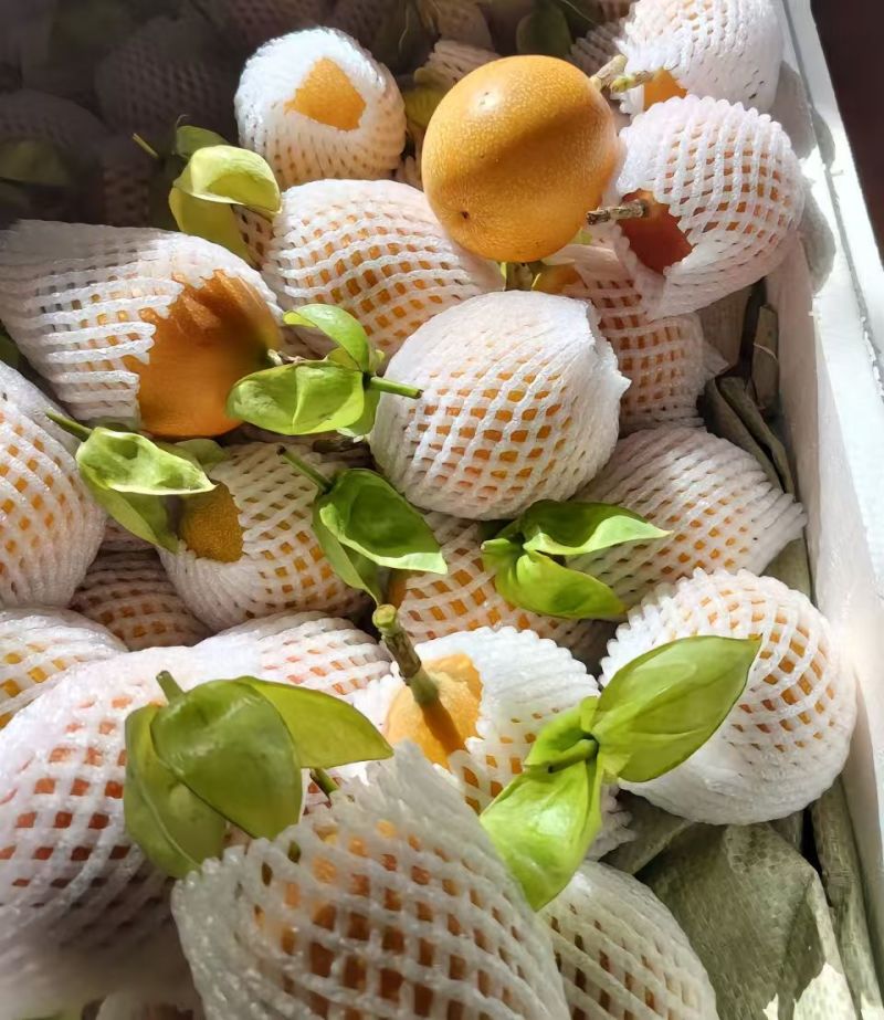 热情果
