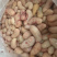新鲜鸡腰子公鸡蛋鸡春子