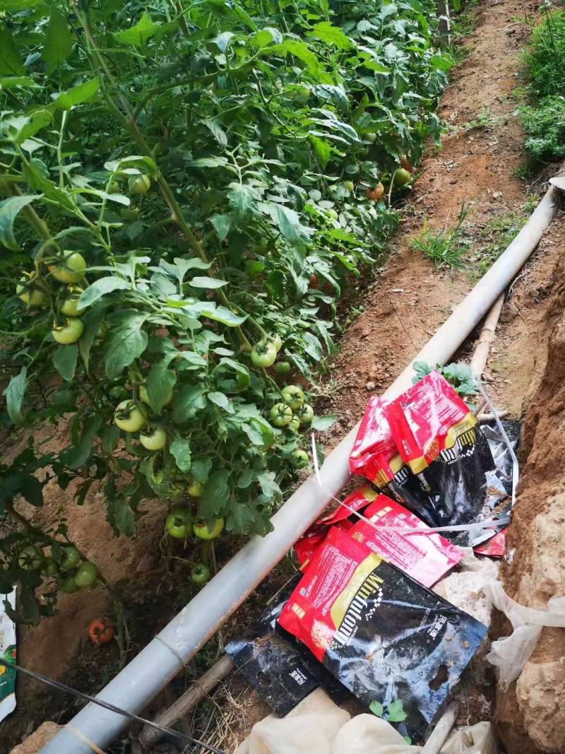 大量元素水溶肥高氮型，箱装硝基氮，高氮，精品