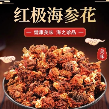 淡干海参花干货煲汤做菜高质量加拿大冰岛俄罗斯红极参花