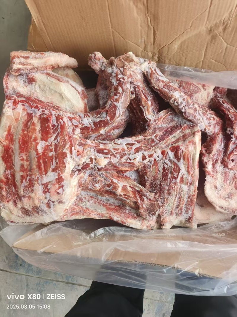 羊槽骨
