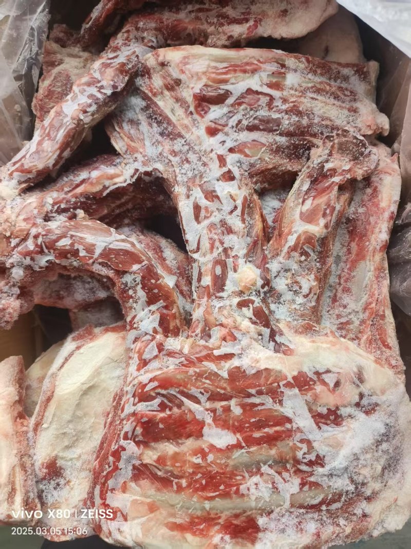 羊槽骨