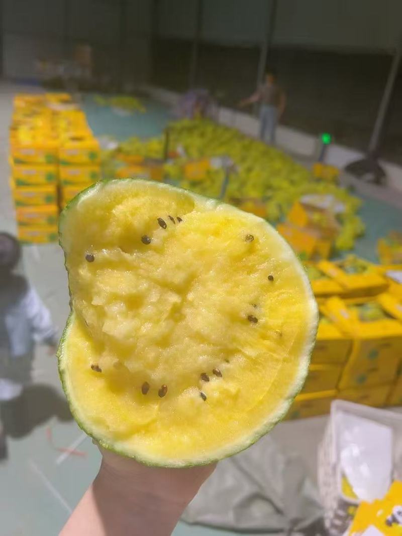 江苏黄心西瓜特小凤西瓜小兰西瓜货源充足代发全国商超