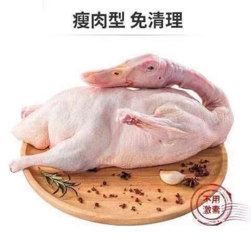 益客冷冻新鲜白条鸭34斤8只装每只重4斤樱桃谷瘦肉型烤鸭