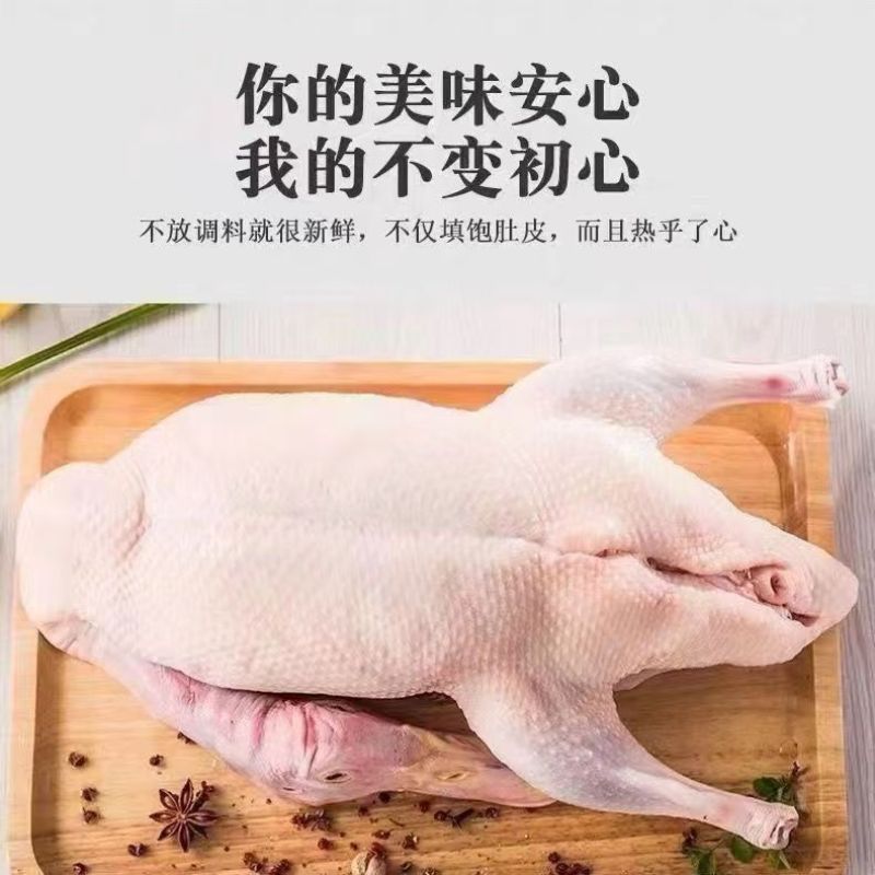 益客冷冻新鲜白条鸭34斤8只装每只重4斤樱桃谷瘦肉型烤鸭