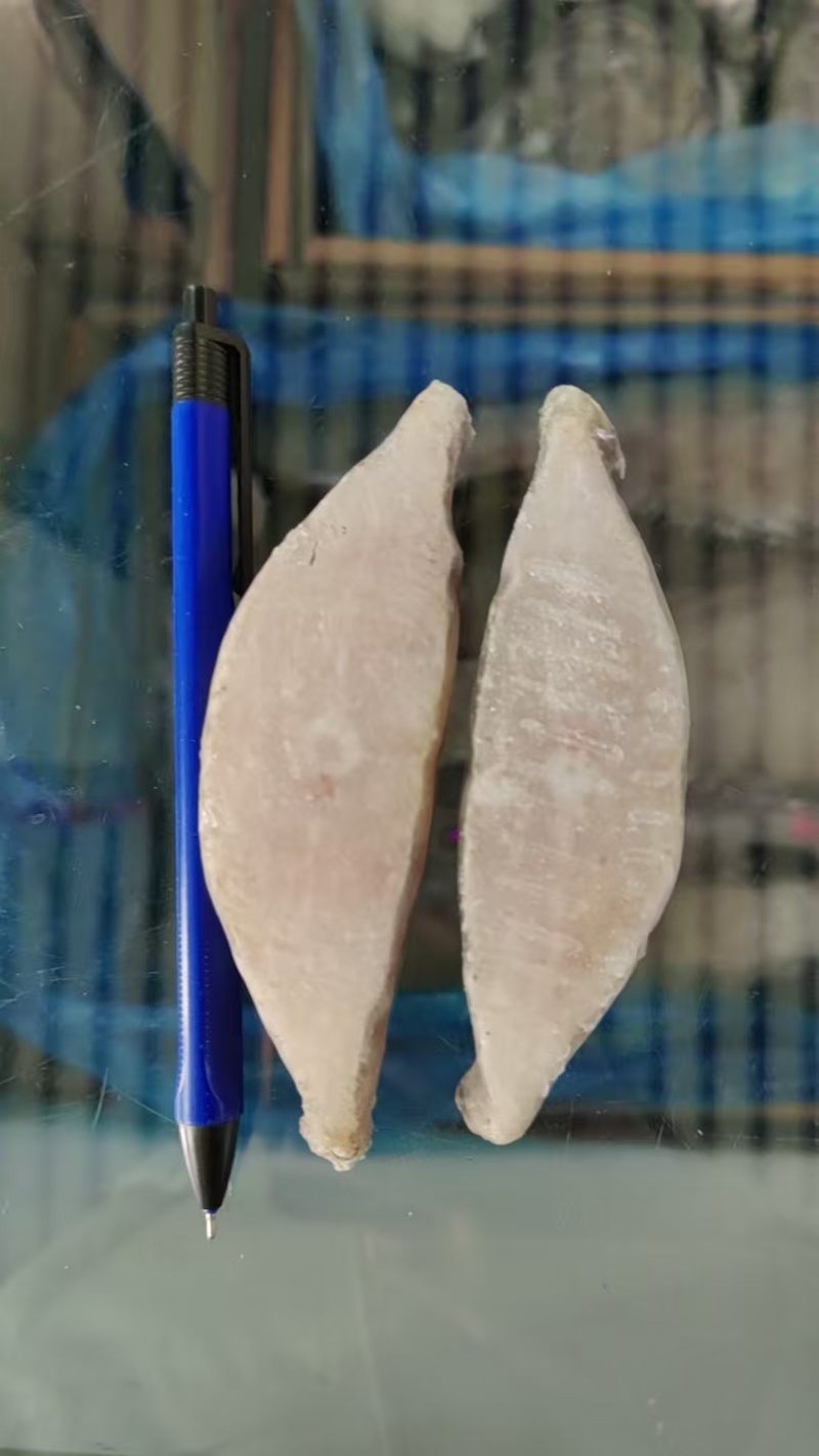 蝶鱼段