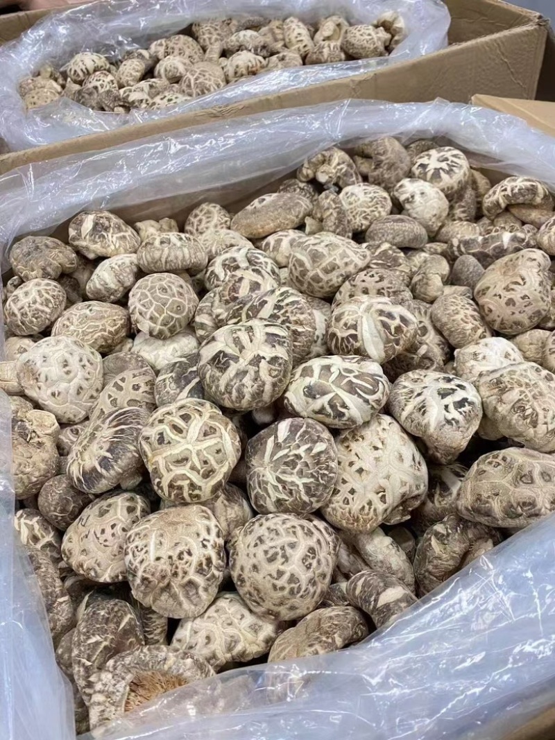 花菇