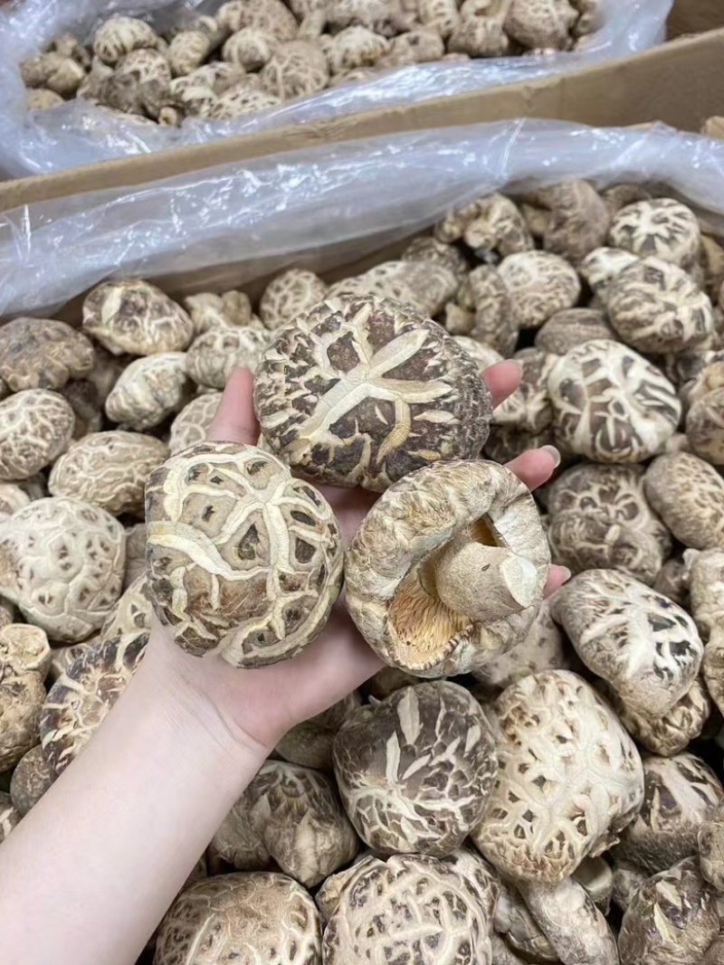 花菇