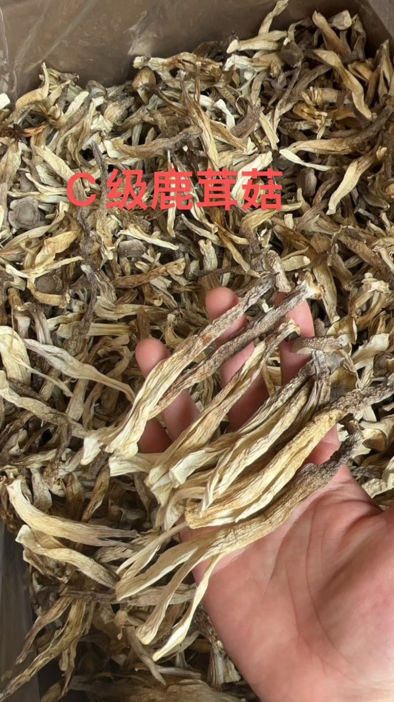 花菇
